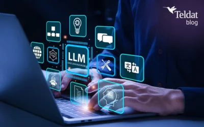 Large Language Models (LLMs) in the IT Sector: Log Analysis and Anomaly Detection in Network Traffic